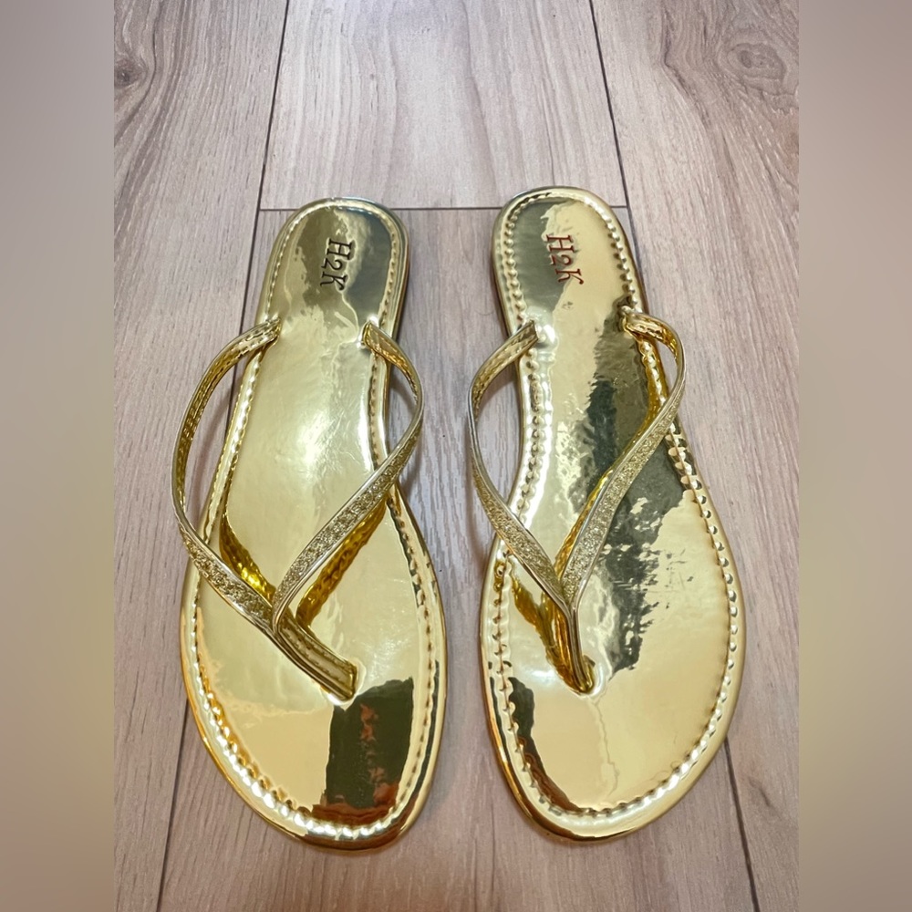 New H2K slides size 10